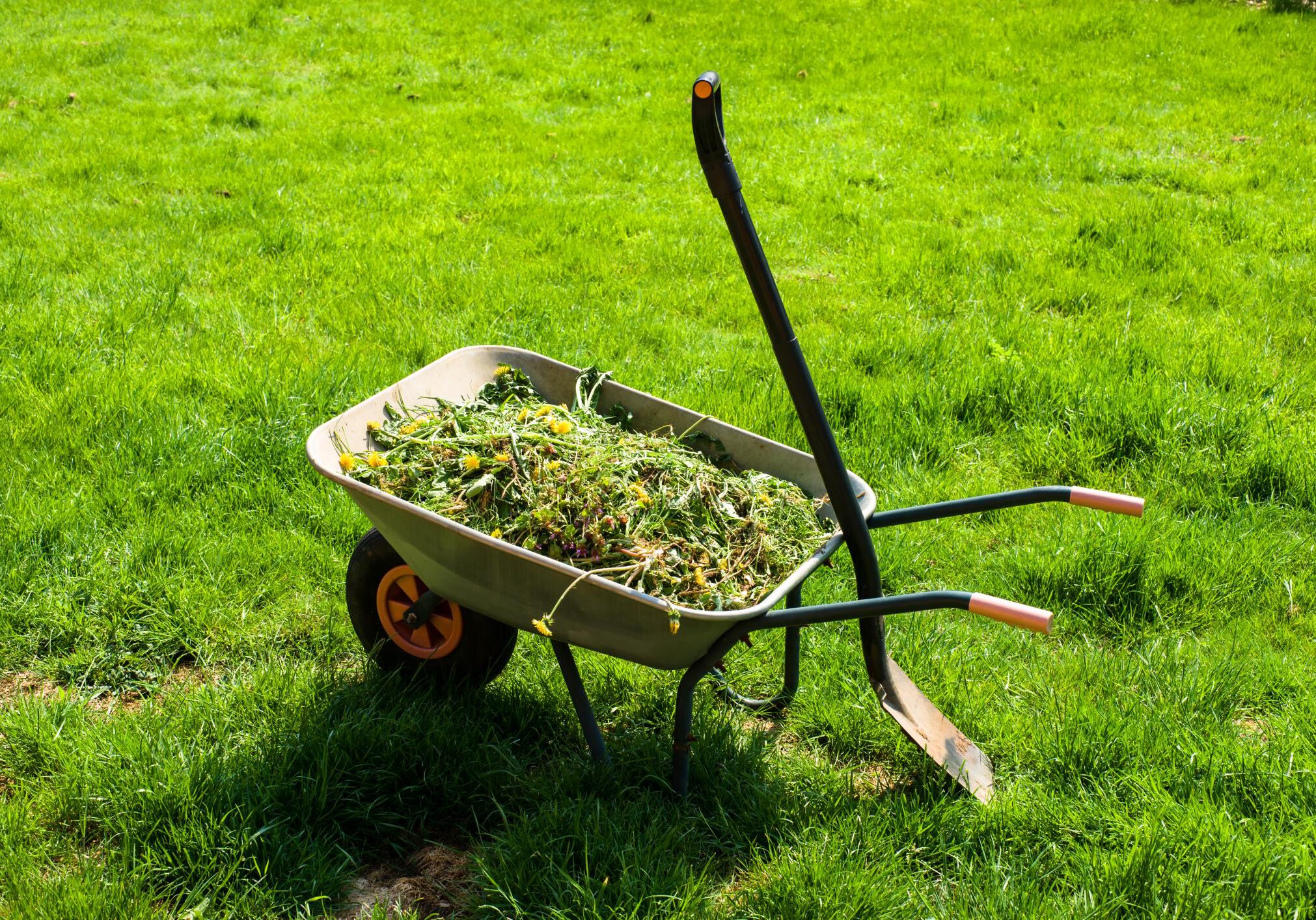 This is a picture of a lawn maintenance.